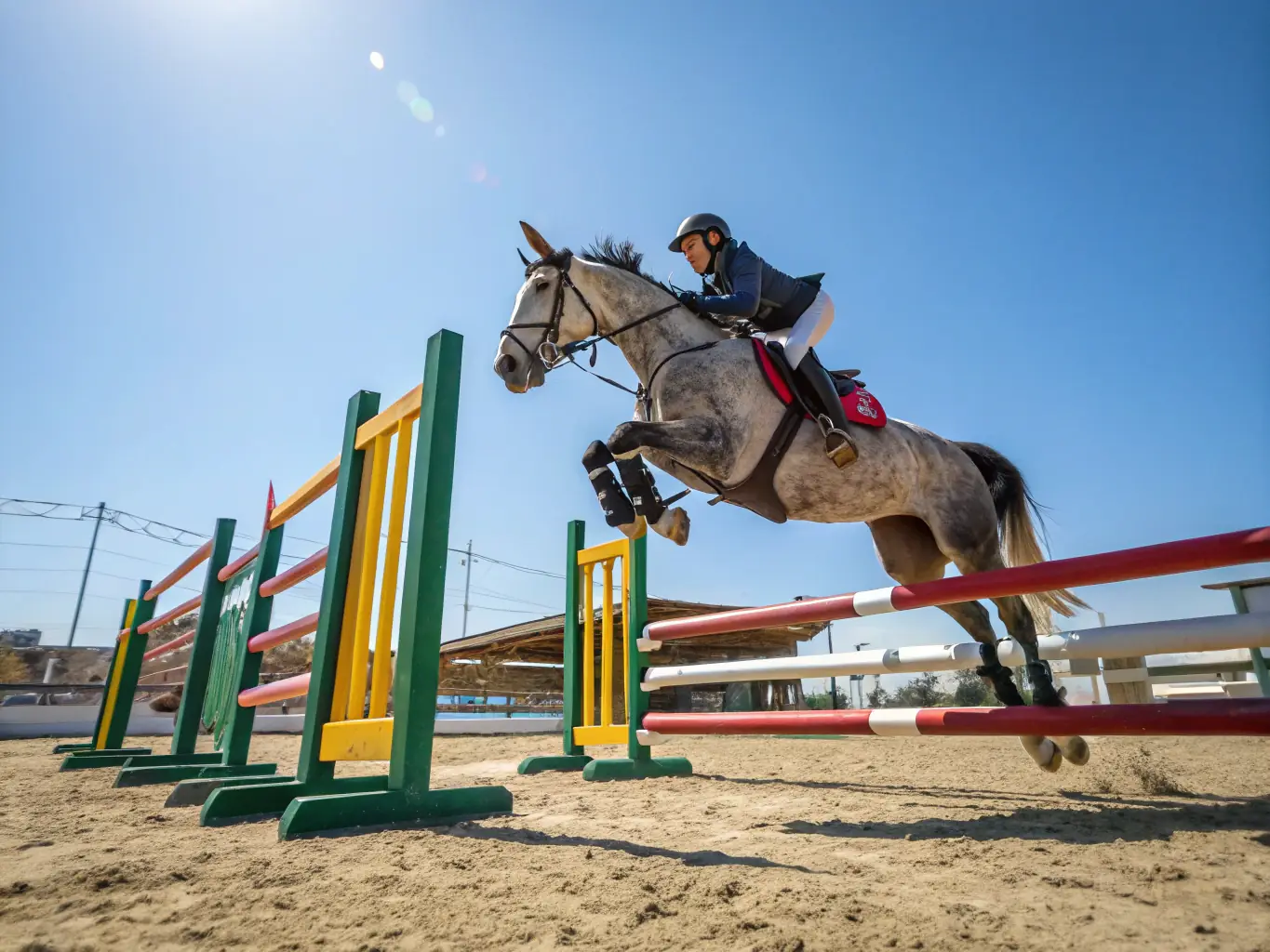 A skilled equestrian rider competing in a show jumping event organized by TOUS A CHEVAL, demonstrating precision and athleticism. The background shows spectators and the vibrant atmosphere of the competition.